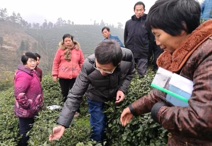 罗山县教育脱贫培训趟出新路子