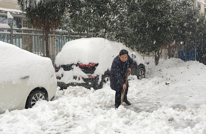 市教育局机关干部职工积极开展义务扫雪