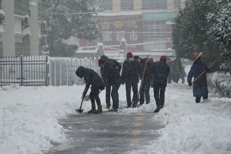 信阳工业学校开展“秉持党性，齐心铲雪”志愿清扫活动