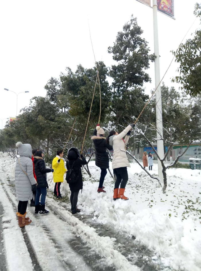 羊山新区教育系统全力以赴开展扫雪除冰行动