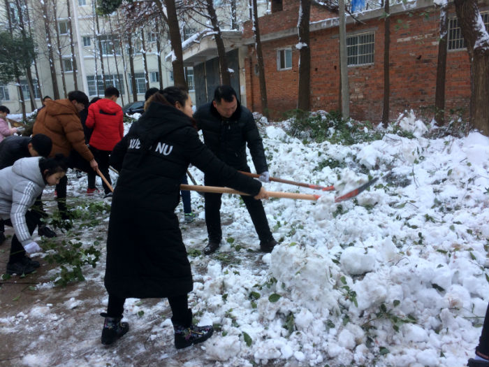 信阳市实验高级中学组织志愿者开展校园主干道积雪清理活动