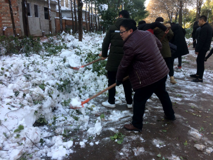 信阳市实验高级中学组织志愿者开展校园主干道积雪清理活动