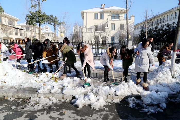 羊山新区教育系统清理慢车道人行道积雪