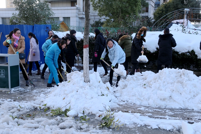 羊山新区教育系统清理慢车道人行道积雪