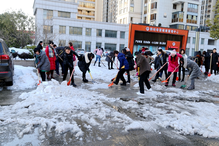 羊山新区教育系统清理慢车道人行道积雪