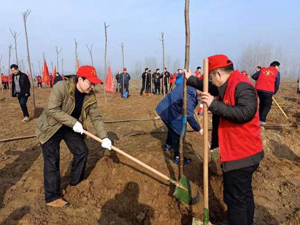 信阳市教育体育局干部职工参加全民春季义务植树活动