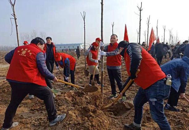 信阳市教育体育局干部职工参加全民春季义务植树活动