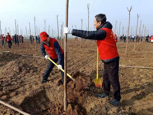 信阳市教育体育局干部职工参加全民春季义务植树活动